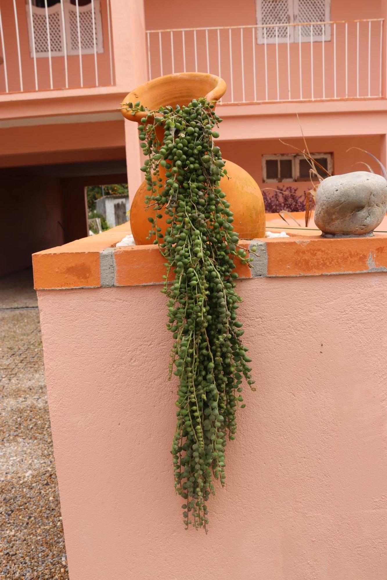 Casa Do Avo Gil Villa Seixo  Dış mekan fotoğraf